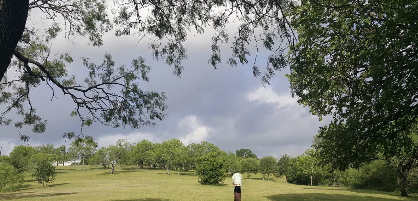 Bartholomew District Park - Photo 2
