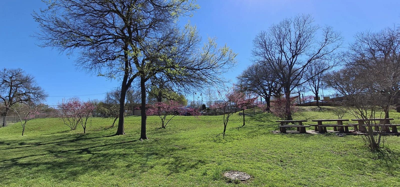 Bartholomew District Park - Photo 1