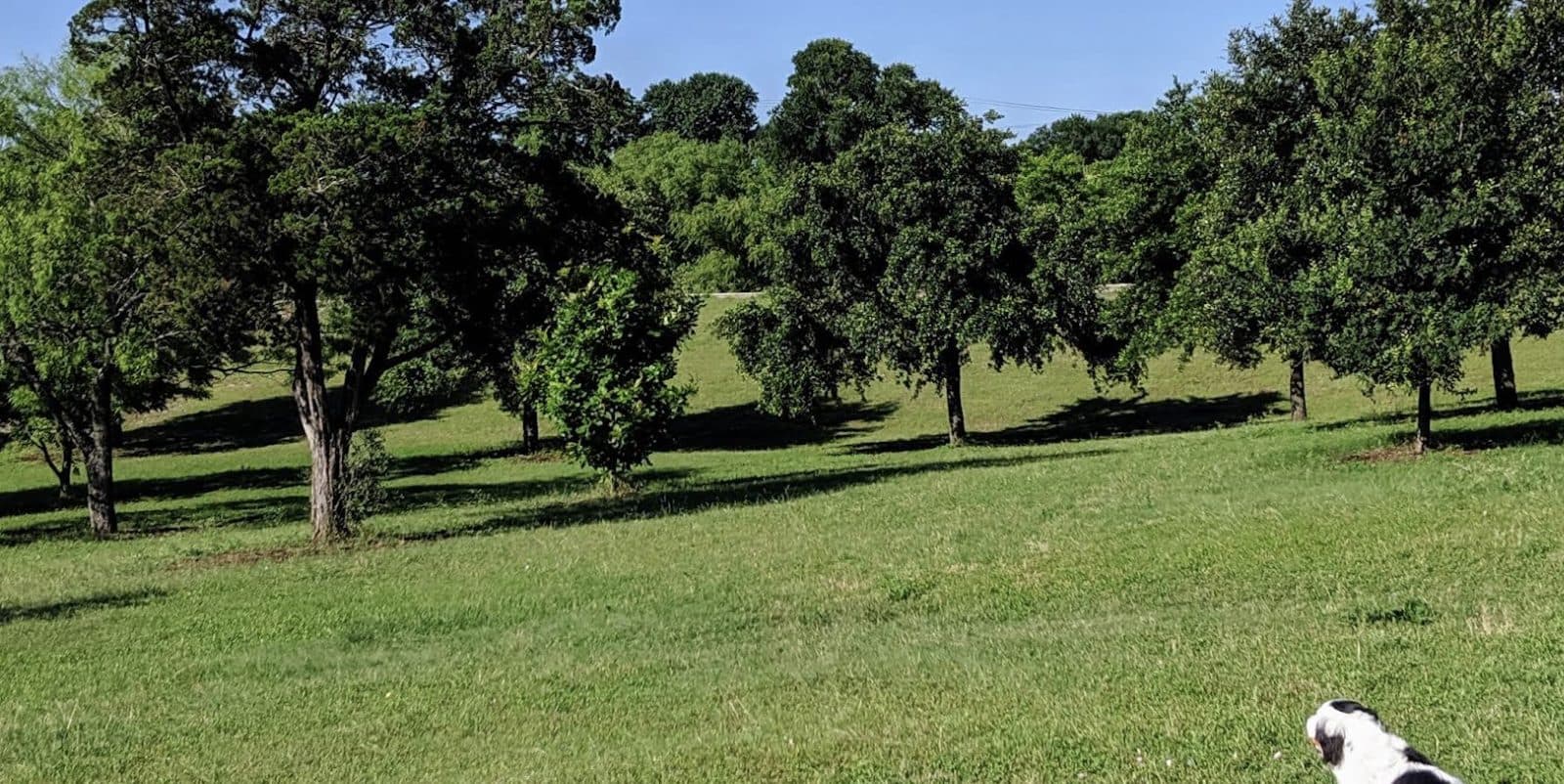 Bartholomew District Park