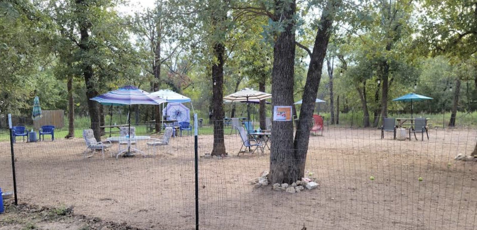 Dog House Drinkery & Dog Park - Photo 1