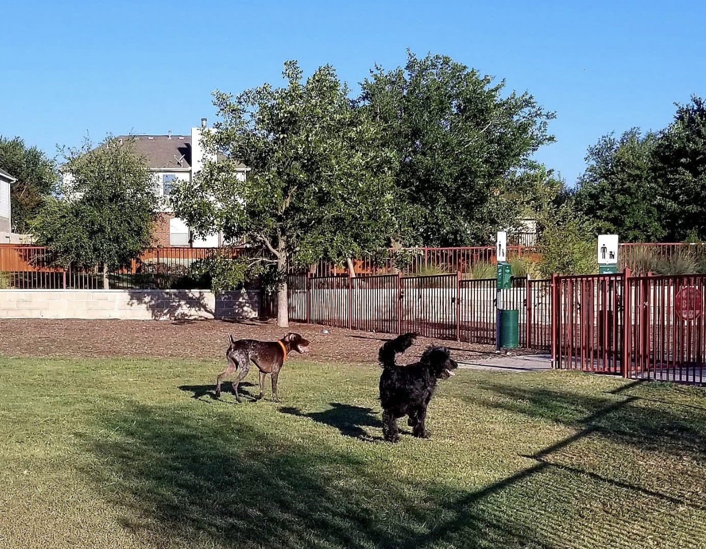 Falcon Pointe Garden and Bark Park - Photo 2