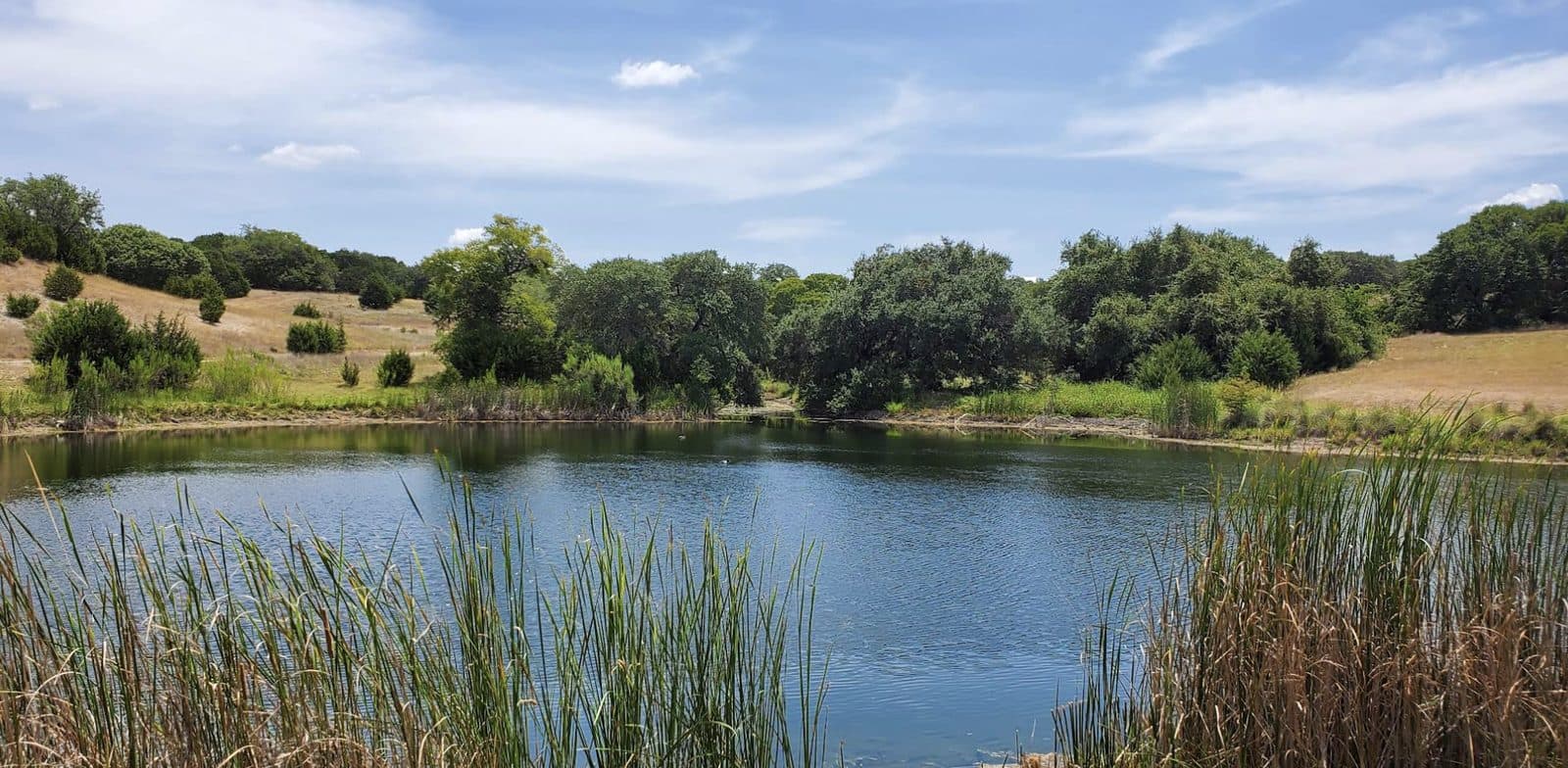 Garey Park - Photo 1