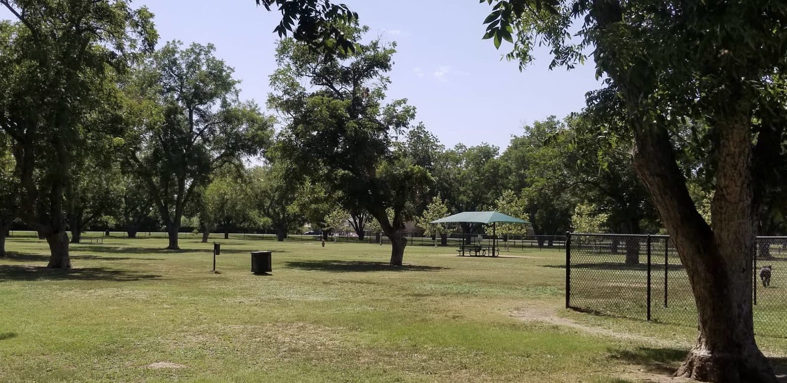 Georgetown Bark Park - Photo 3