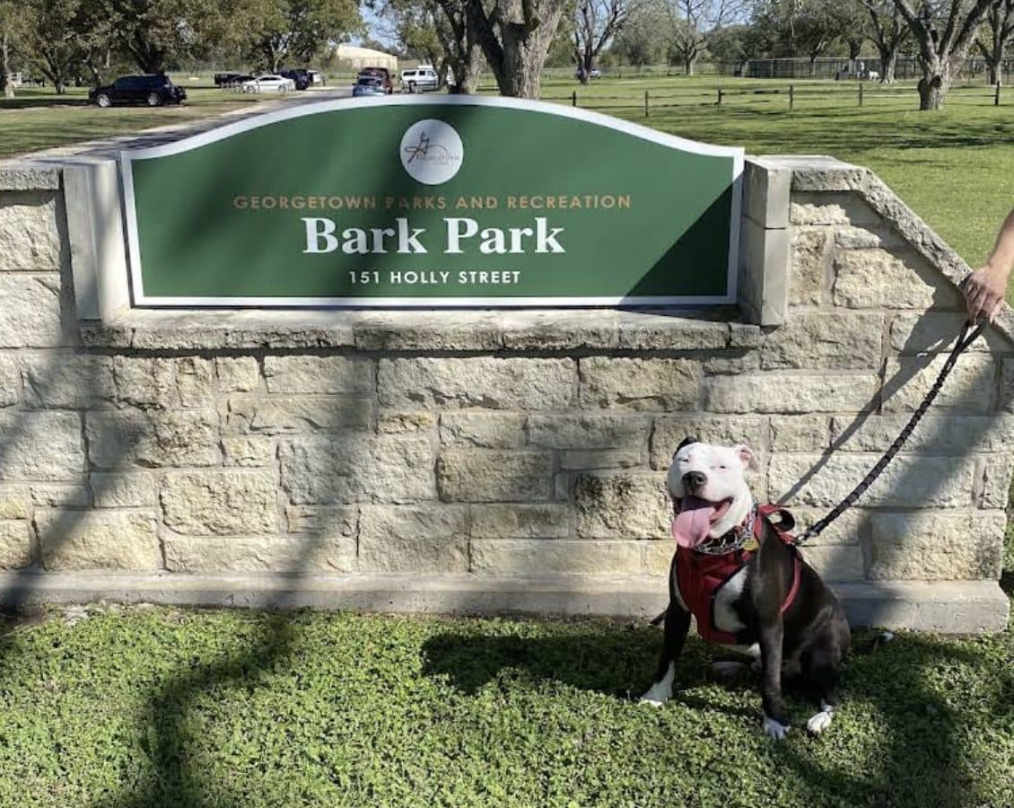 Georgetown Bark Park - Photo 1