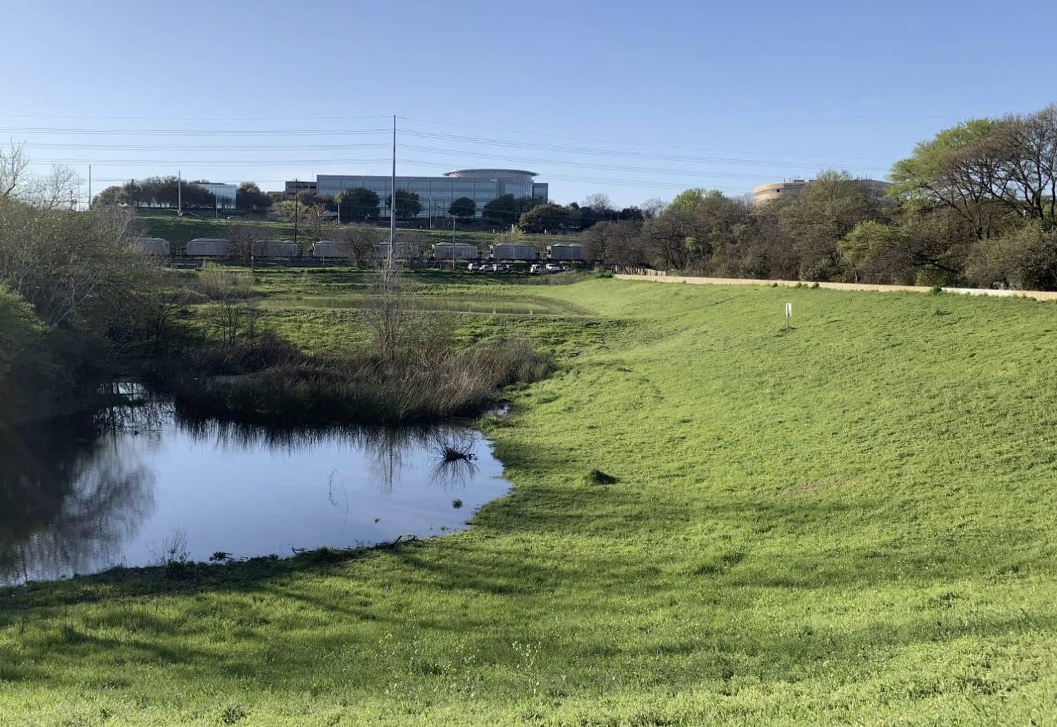 Great Northern Dog Park