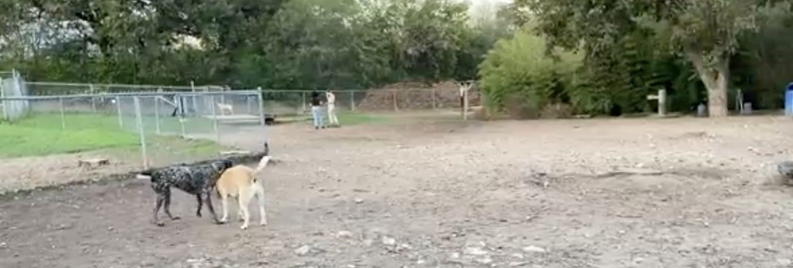 Norwood Estate Dog Park
