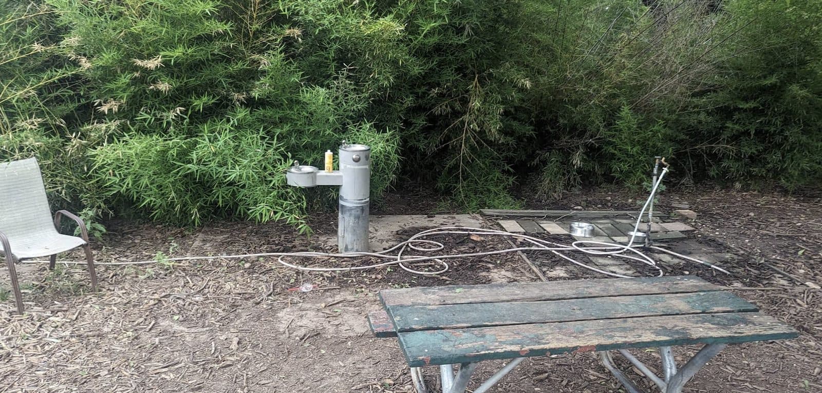 Norwood Estate Dog Park - Photo 1