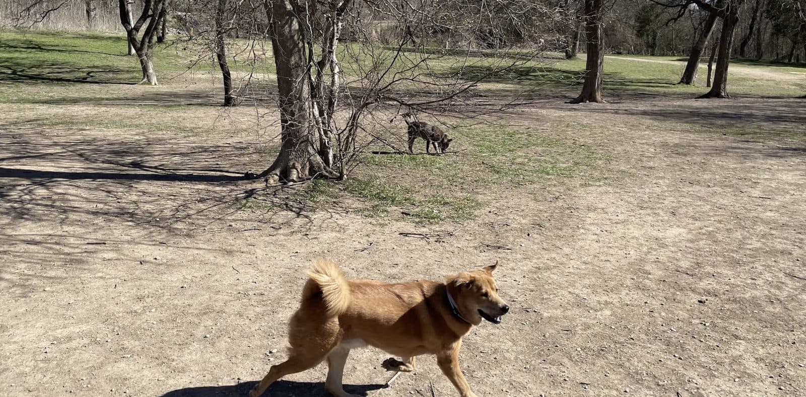 Onion Creek District Park - Photo 3