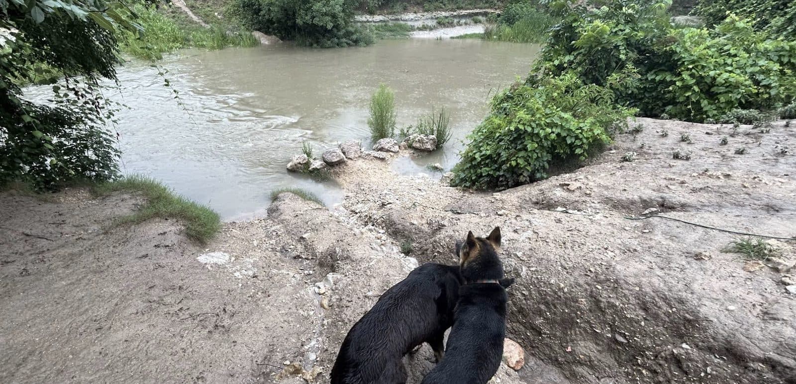 Onion Creek District Park - Photo 1