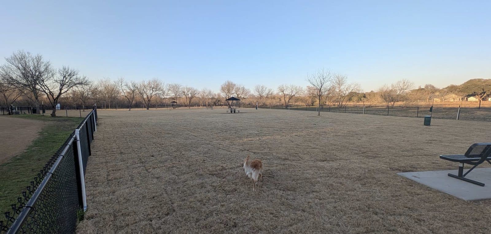Historic Stagecoach Park Dog Park