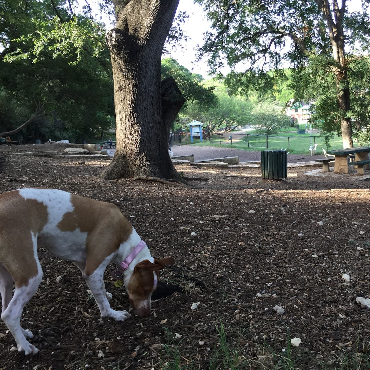 West Austin Park