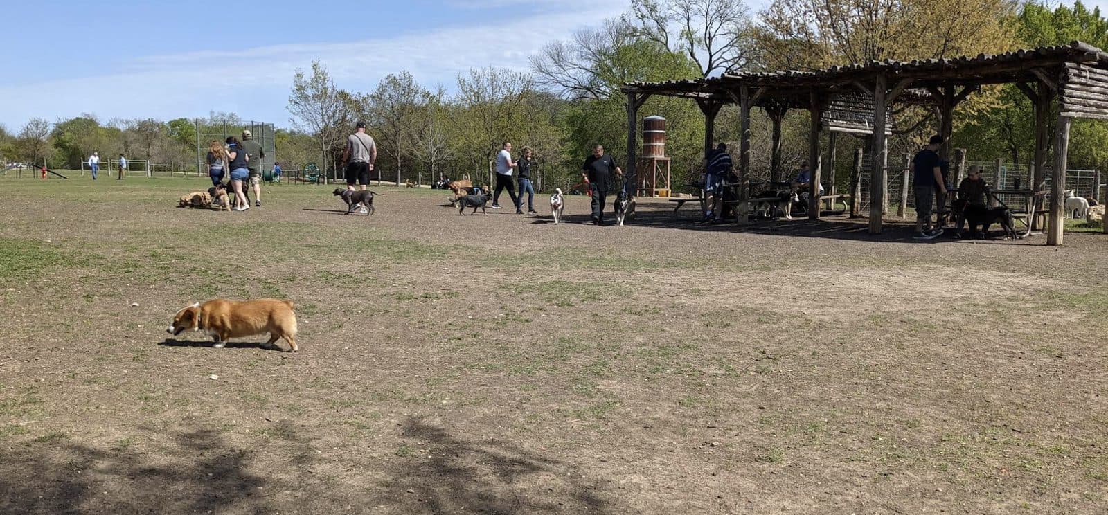 Dog Depot Dog Park - Photo 3