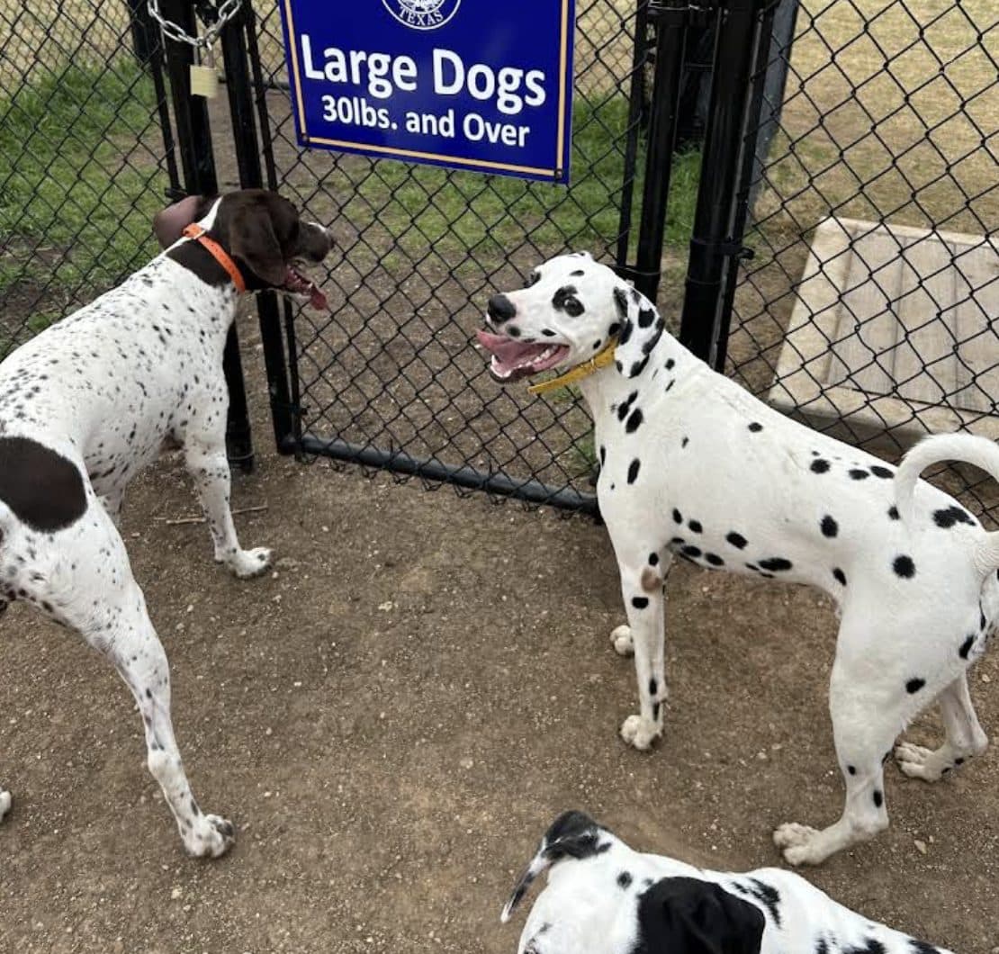 Historic Stagecoach Park Dog Park - Photo 1